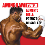 450x450_AminoramPower